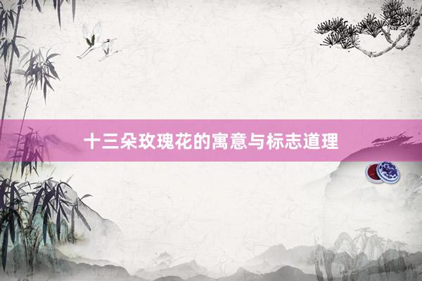 十三朵玫瑰花的寓意与标志道理