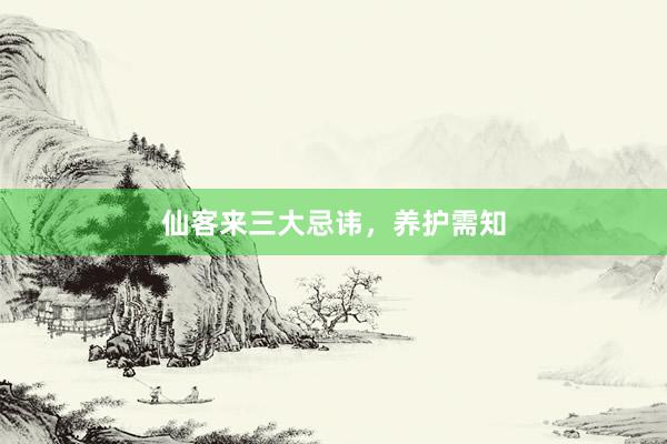 仙客来三大忌讳,养护需知