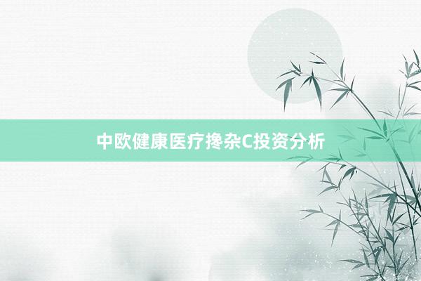 中欧健康医疗搀杂C投资分析