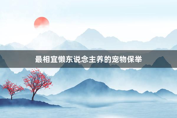 最相宜懒东说念主养的宠物保举