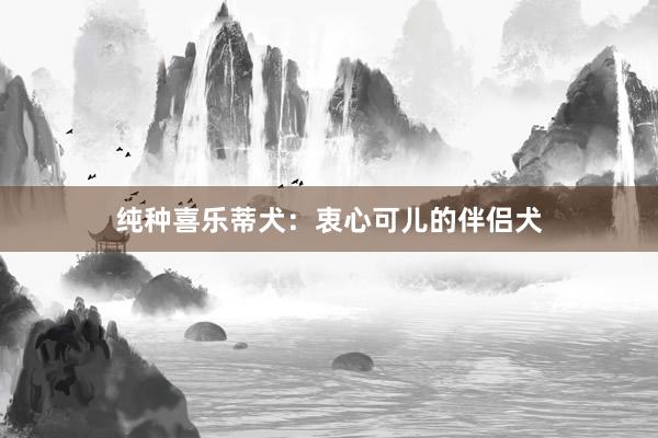 纯种喜乐蒂犬：衷心可儿的伴侣犬